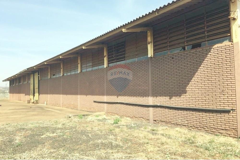 Galpão - Alugar - Ribeirão Preto , São Paulo - IMG-20250527-WA0005.jpg - 780181012-676