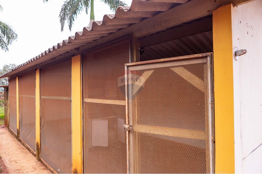 Chácara / Sítio / Fazenda - Venda - Jaboticabal , São Paulo - 371A9776.jpg - 780201029-20