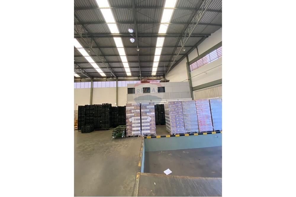 Galpão - Alugar - Ribeirão Preto , São Paulo - IMG-20250724-WA0004.jpg - 780181012-733