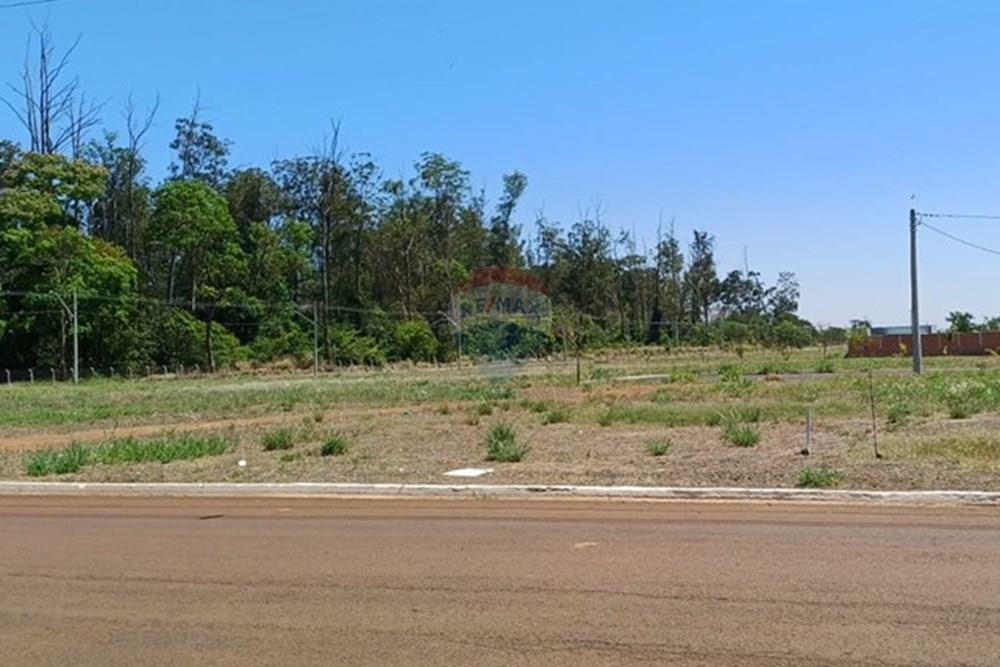 Terreno - Venda - Sertãozinho , São Paulo - IMG-20250926-WA0017.jpg - 780191023-14