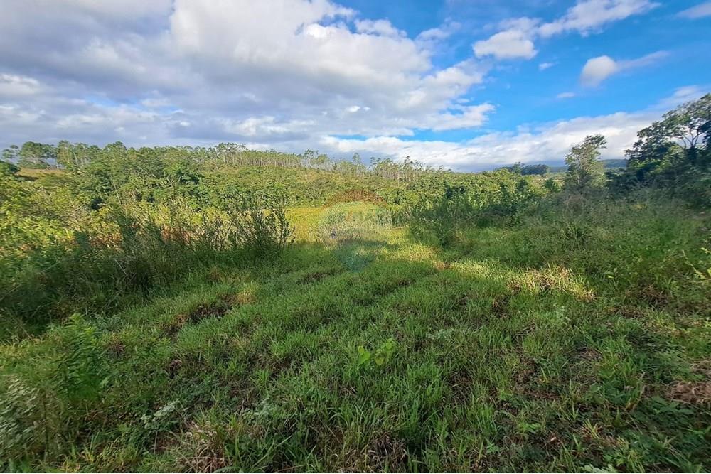 Chácara / Sítio / Fazenda - Venda - Cajuru , São Paulo - IMG-20250406-WA0179.jpg - 780171030-59