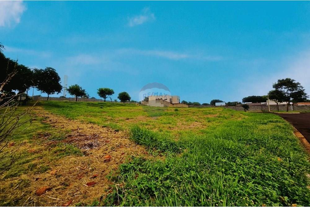 Terreno - Venda - Ribeirão Preto , São Paulo - WhatsApp Image 2025-01-19 at 12.11.10 (1).jpeg - 780251037-65