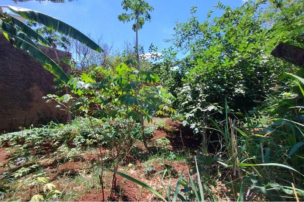 Terreno - Venda - Ribeirão Preto , São Paulo - WhatsApp Image 2025-11-04 at 14.10.30 (3).jpeg - 780181003-72