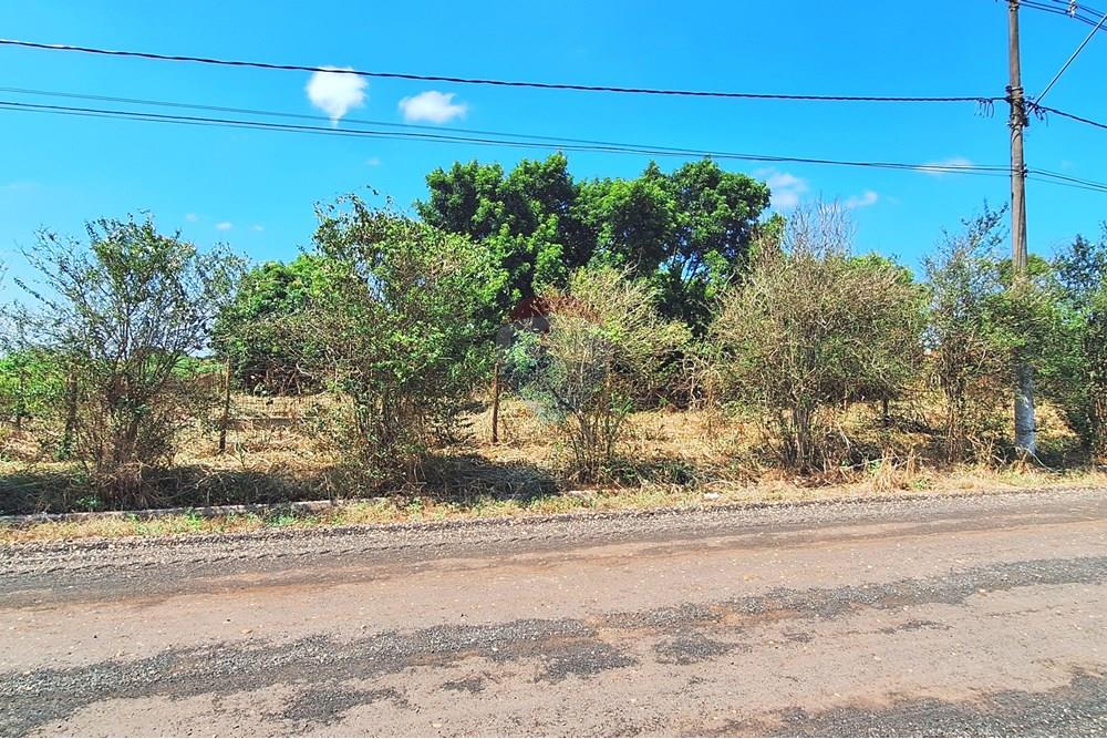 Terreno - Venda - Guatapará , São Paulo - 20250316_105836.jpg - 780261028-15
