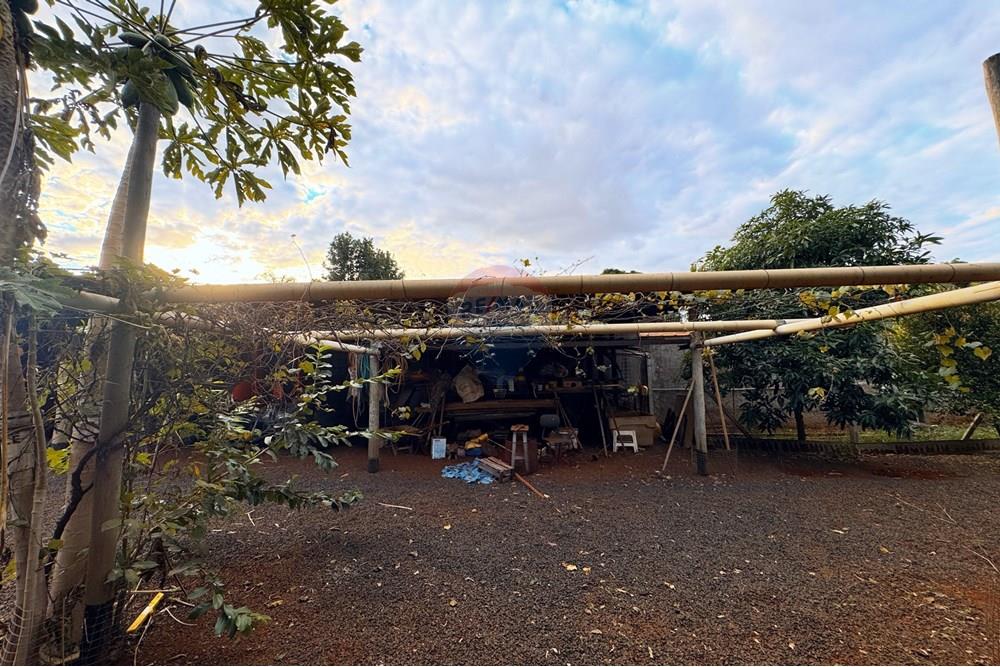 Chácara / Sítio / Fazenda - Venda - Ribeirão Preto , São Paulo - IMG_5381.JPG - 780071079-4