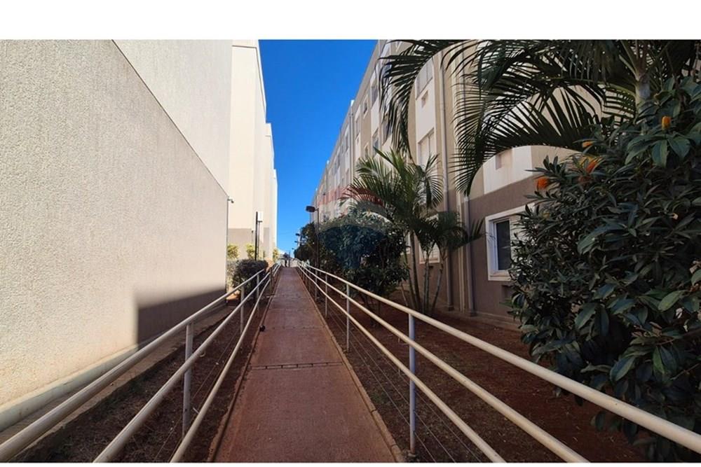 Apartamento - Venda - Ribeirão Preto , São Paulo - foto 31 entrada ap 2.jpg - 780091085-13