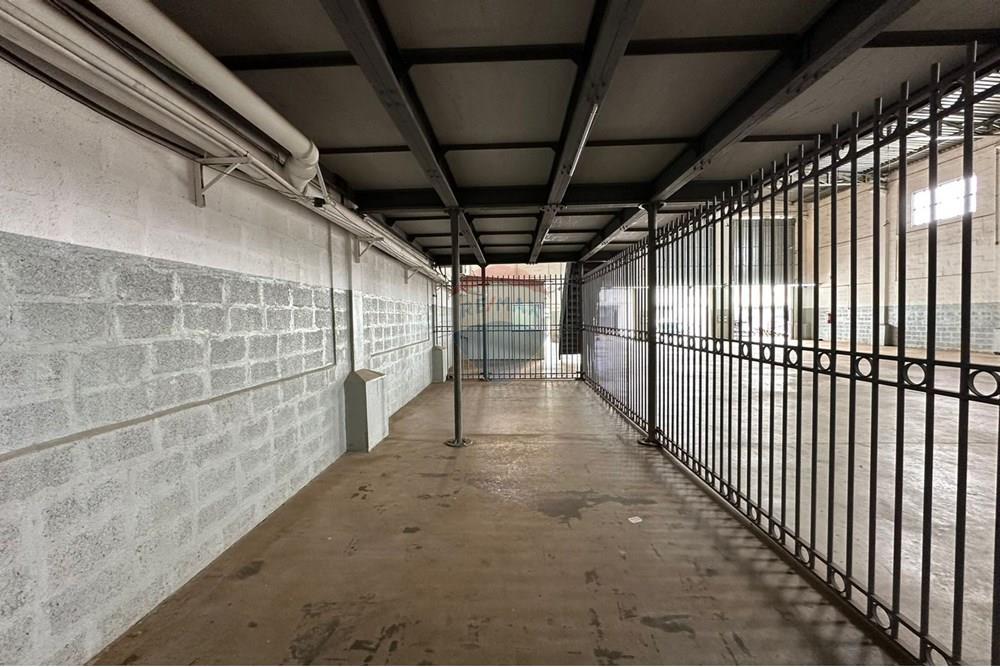 Galpão - Alugar - Ribeirão Preto , São Paulo - WhatsApp Image 2025-01-28 at 15.10.16 (2).jpeg - 780241008-125