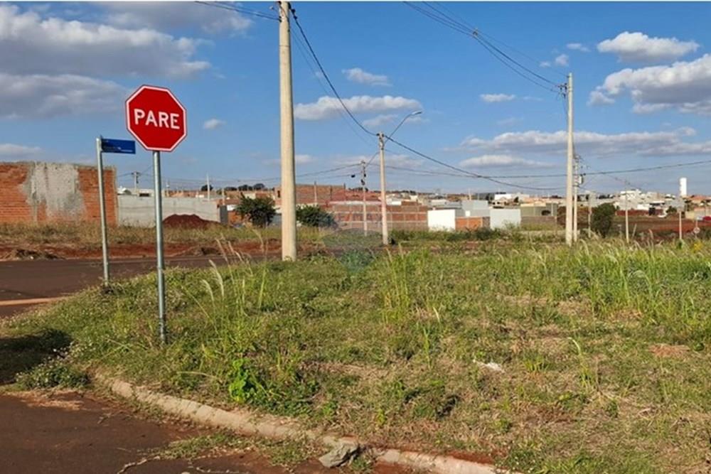 Terreno - Venda - Cravinhos , São Paulo - Imagem do WhatsApp de 2025-07-09 à(s) 15.47.40_8a0e80d3.jpg - Layout aberto - 780091043-55