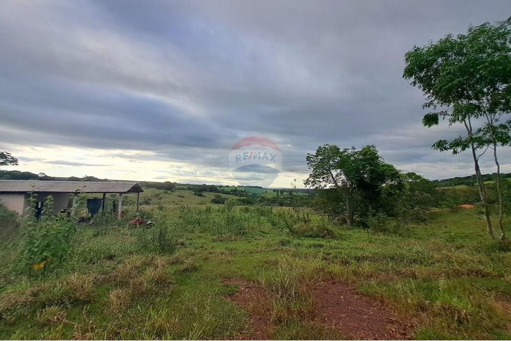 Fazenda - Venda - Cajuru , São Paulo - IMG-20250406-WA0101.jpg - 780171030-57