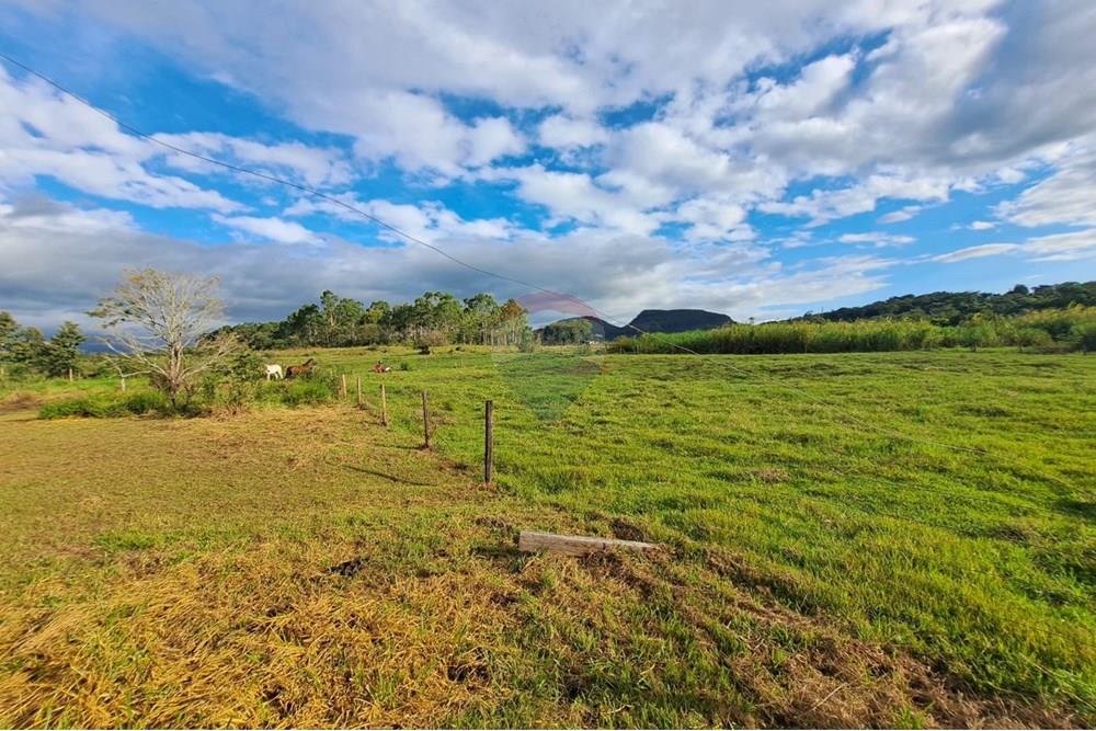 Chácara / Sítio / Fazenda - Venda - Cajuru , São Paulo - IMG-20250406-WA0118.jpg - 780171030-59