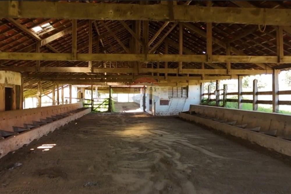 Fazenda - Venda - Rifaina , São Paulo - Captura de tela 2025-05-21 154207.jpg - 780071051-5