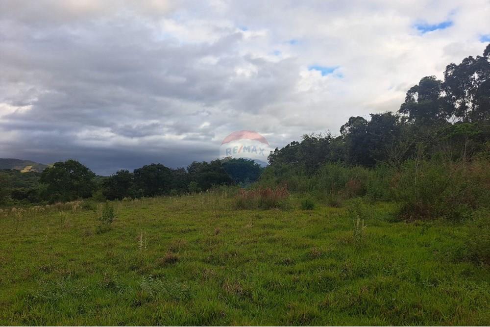 Fazenda - Venda - Cajuru , São Paulo - IMG-20250406-WA0088.jpg - 780171030-57