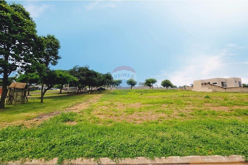 Terreno - Venda - Ribeirão Preto , São Paulo - WhatsApp Image 2025-01-19 at 12.11.08 (1).jpeg - 780251037-65