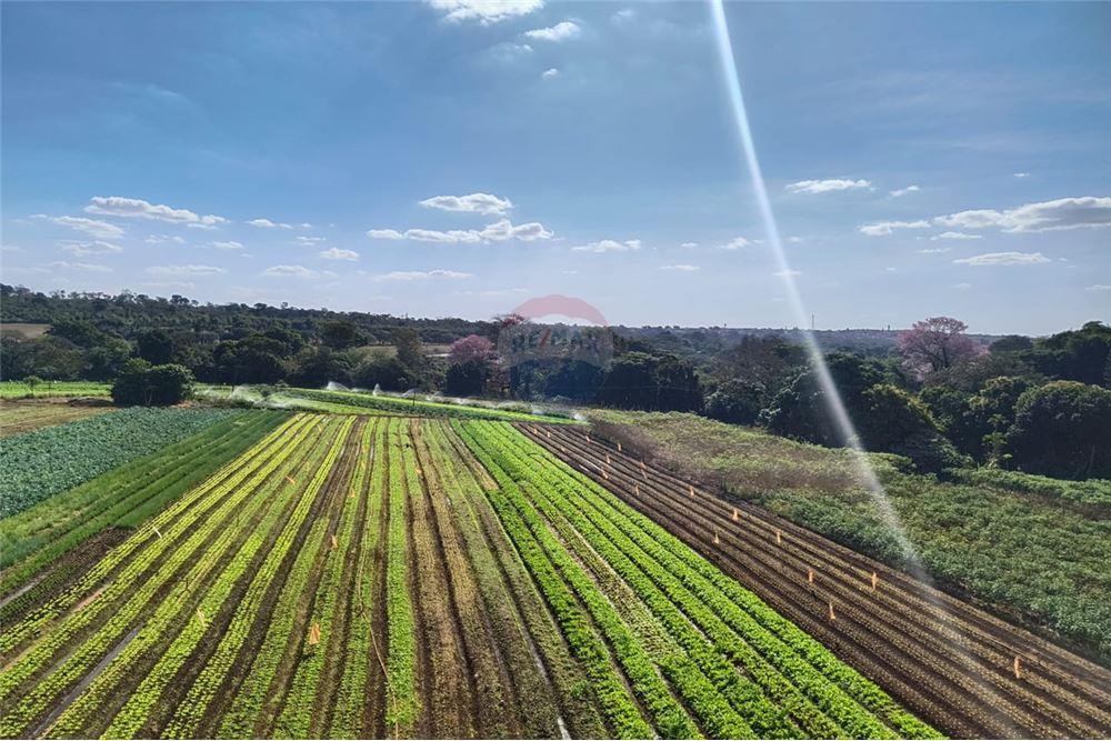 Apartamento - Alugar - Ribeirão Preto , São Paulo - 18 - 780171018-370