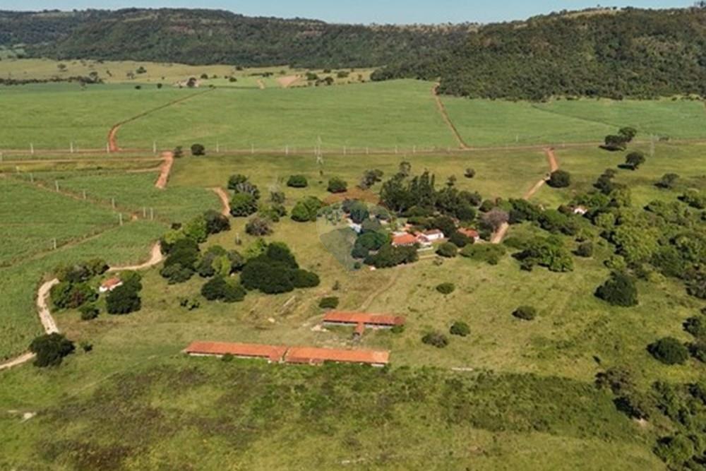 Fazenda - Venda - Rifaina , São Paulo - Captura de tela 2025-05-21 154238.jpg - 780071051-5