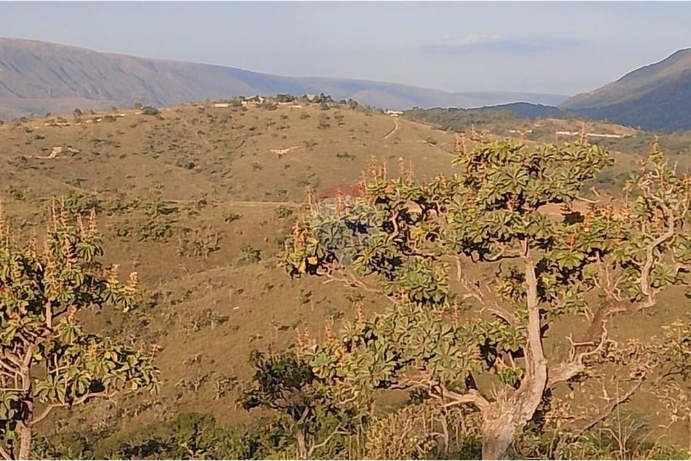 Chácara / Sítio / Fazenda - Venda - Delfinópolis , Minas Gerais - IMG-20241106-WA0032.jpg - 780251001-40