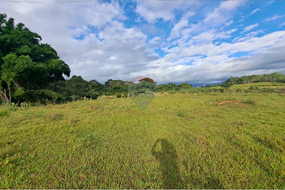 Fazenda - Venda - Cajuru , São Paulo - IMG-20250406-WA0140.jpg - 780171030-57