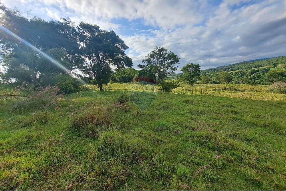 Chácara / Sítio / Fazenda - Venda - Cajuru , São Paulo - IMG-20250406-WA0163.jpg - 780171030-59