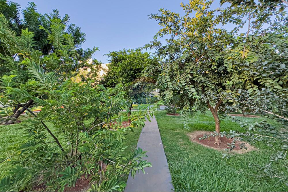 Chácara / Sítio / Fazenda - Venda - Jaboticabal , São Paulo - Foto 06-03-2025, 18 08 19.jpg - 780201029-22