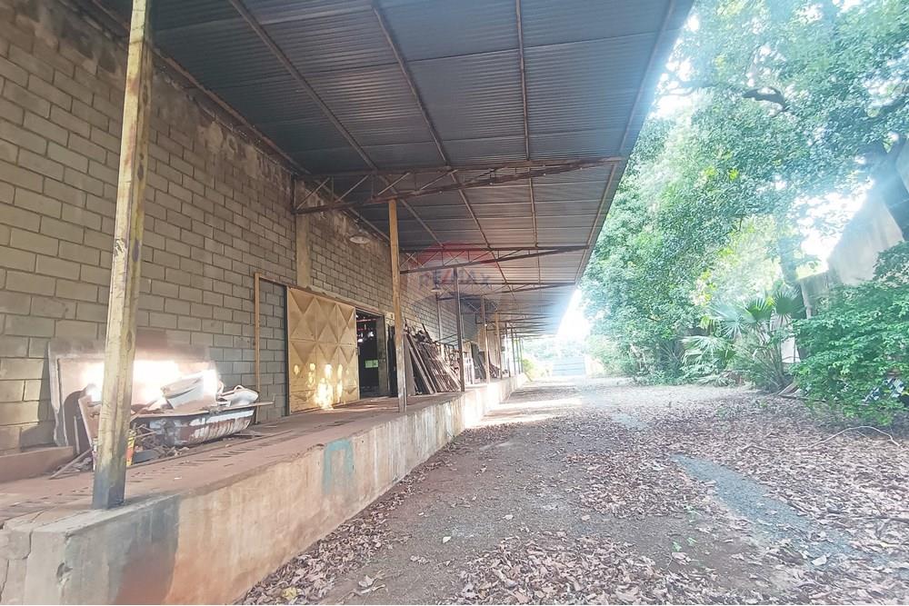 Galpão - Alugar - Ribeirão Preto , São Paulo - IMG_20250423_155034.jpg - 780181012-635