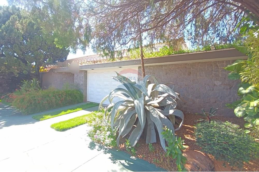 Casa - Alugar - Ribeirão Preto , São Paulo - IMG-20250321-WA0005.jpg - 780181012-601