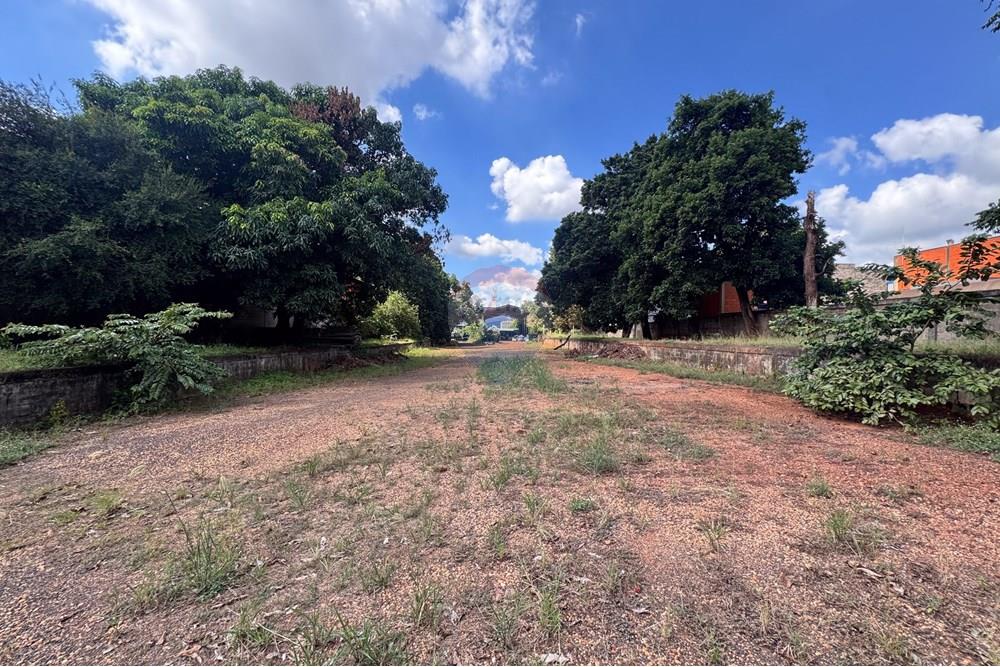 Terreno - Alugar - Ribeirão Preto , São Paulo - RUA ANTONIO FERNANDES FIGUEROA 1166 TERRENO (8 de 9).jpg - 780071015-251