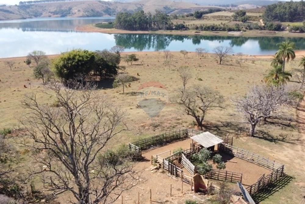 Agro - Venda - Guapé , Minas Gerais - Fazenda Guape 7.jpg - 780071051-6