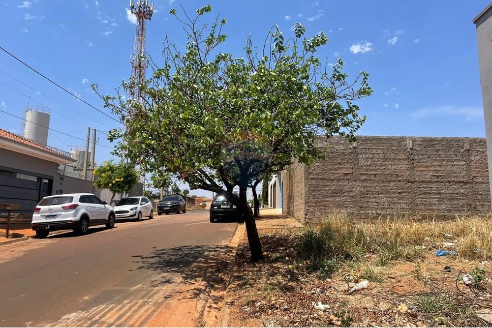 Terreno - Venda - São Joaquim da Barra , São Paulo - f. 2.jpg - 780301010-4