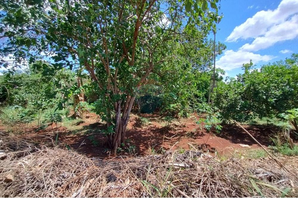 Terreno - Venda - Ribeirão Preto , São Paulo - WhatsApp Image 2025-11-04 at 14.10.29 (2).jpeg - 780181003-72