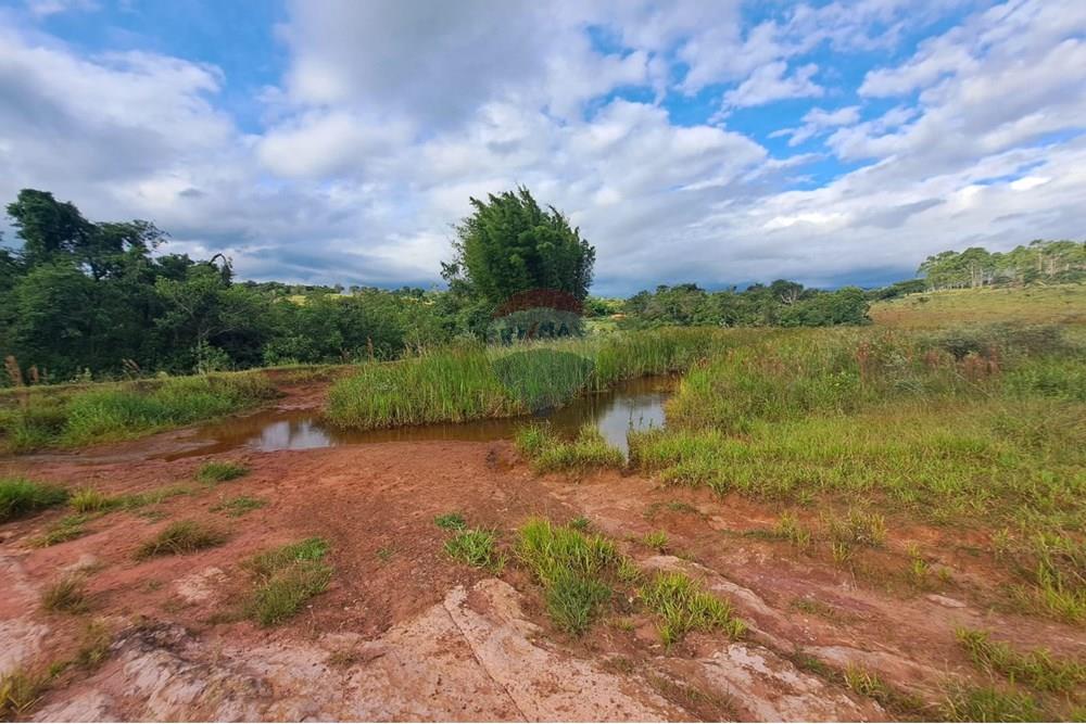 Fazenda - Venda - Cajuru , São Paulo - IMG-20250406-WA0151.jpg - 780171030-57