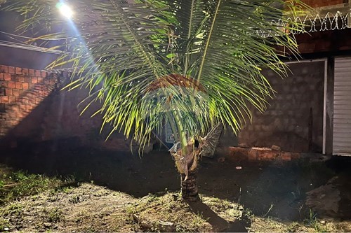 Slider Image Thumbnail