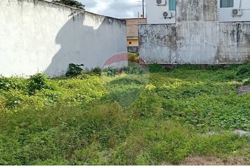 Venda-Terreno-Centro , Tamandaré , Pernambuco , 55578000-850221044-4