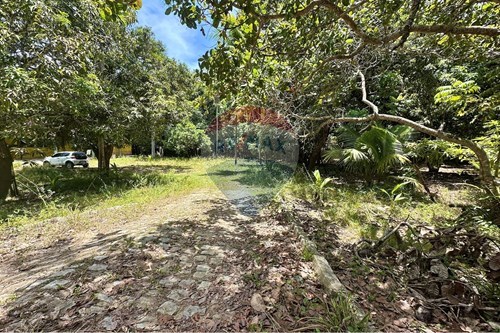 Venda-Chácara / Sítio / Fazenda-Garça Torta , Maceió , Alagoas , 57039000-850271205-20