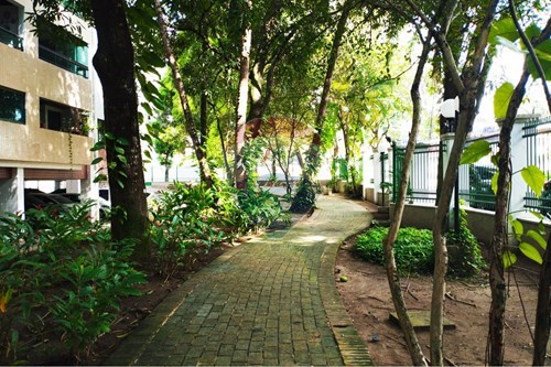 Slider Image Thumbnail