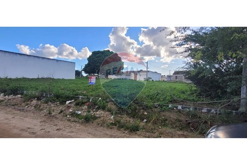 Venda-Terreno-Centro , Lajedo , Pernambuco , 55385000-850741004-260