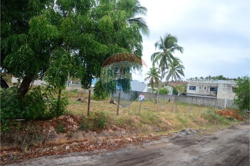 Venda-Terreno-Centro , Maragogi , Alagoas , 57955000-850291009-33