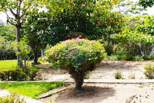 Slider Image Thumbnail