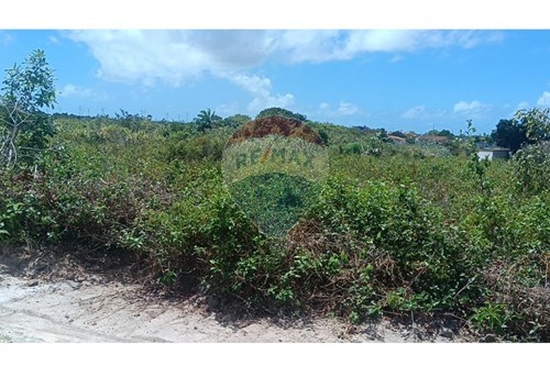 Venda-Terreno-Centro , Santo Amaro das Brotas , Sergipe , 49.180.000-850581216-34