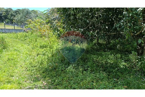 Venda-Terreno-Aurora , Paulista , Pernambuco , 53500-990-850501060-2