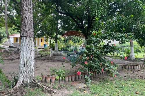 Slider Image Thumbnail