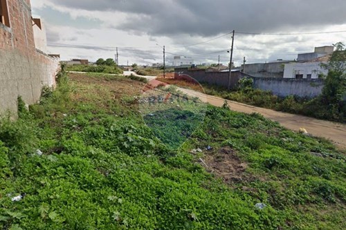 Venda-Terreno-Novo Heliópolis , Garanhuns , Pernambuco , 55297244-850741002-1