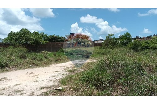 Venda-Terreno-Enseada dos Corais , Cabo de Santo Agostinho , Pernambuco , 54590-000-850281025-39
