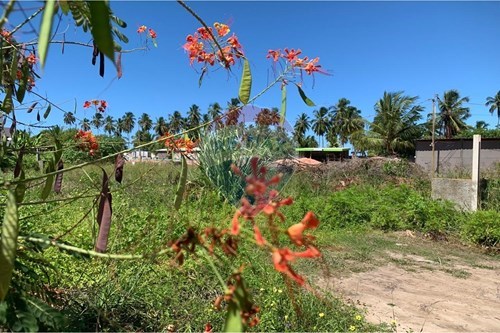 Venda-Terreno-Quadra K - Tatuamunha , Lote 13  - Loteamento Flamboyants IV  - Centro , Porto de Pedras , Alagoas , 57945000-850661038-25
