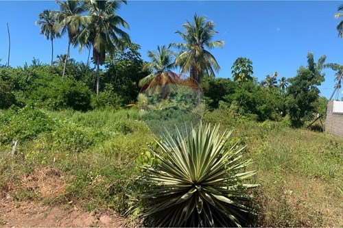 Venda-Terreno-Quadra Q , 00  - Centro , Porto de Pedras , Alagoas , 57945000-850661038-32