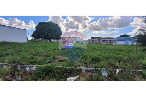 Venda-Terreno-Centro , Lajedo , Pernambuco , 55385000-850741004-259