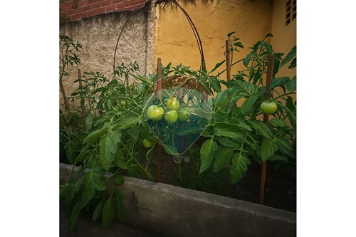 Slider Image Thumbnail