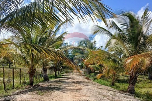 Venda-Chácara / Sítio / Fazenda-Rua José Gonçalves , S/N  - Mercadinho e Peixaria Céu  - Centro , Piaçabuçu , Alagoas , 57210000-850271136-15