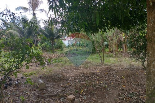 Venda-Terreno-Garapu , Cabo de Santo Agostinho , Pernambuco , 54518530-850281015-117