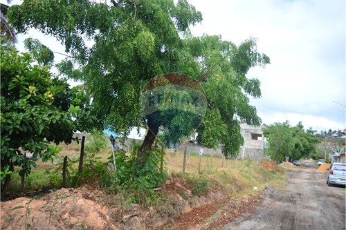 Venda-Terreno-Centro , Maragogi , Alagoas , 57955000-850291009-32