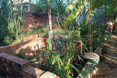 Slider Image Thumbnail